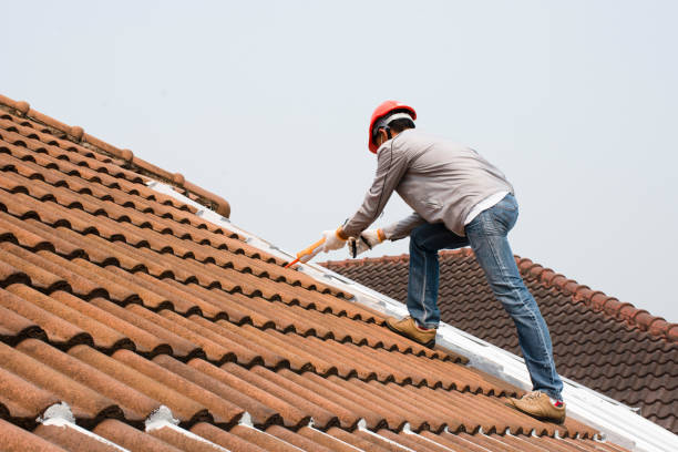 Best Roof Moss and Algae Removal  in Yosemite Valley, CA